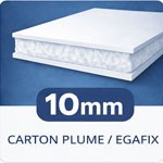 Carton plume 10mm